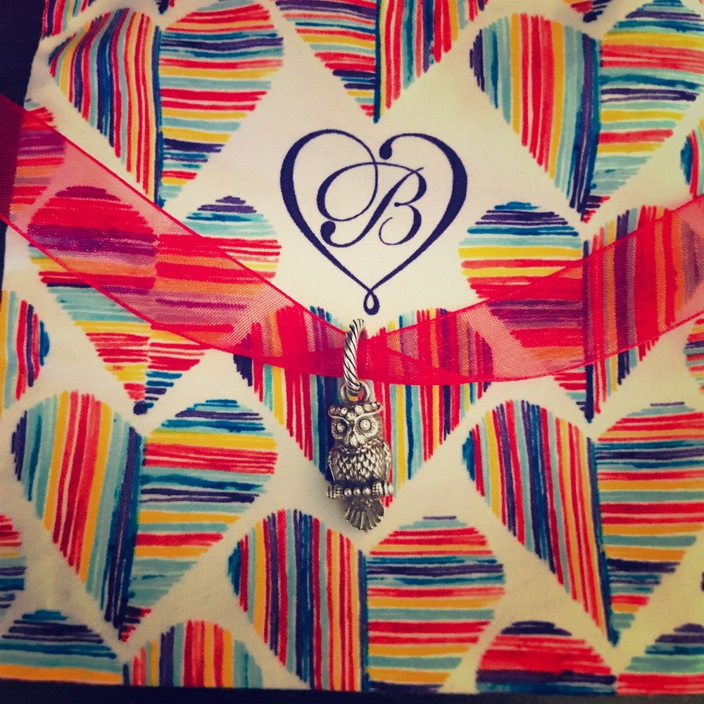 SALE 🎉👈 all charms Brighton owl charm